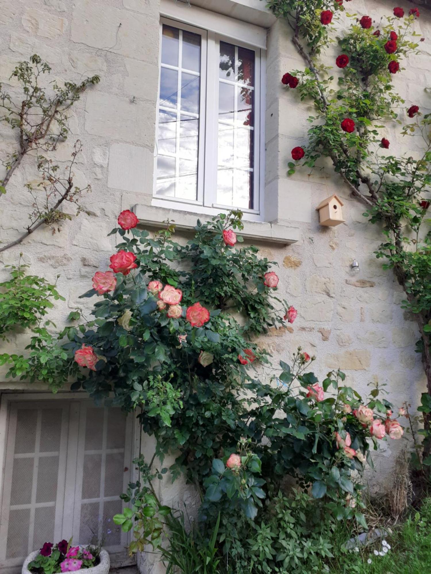Esprit Troglo Beaumont-en-Véron Exterior foto